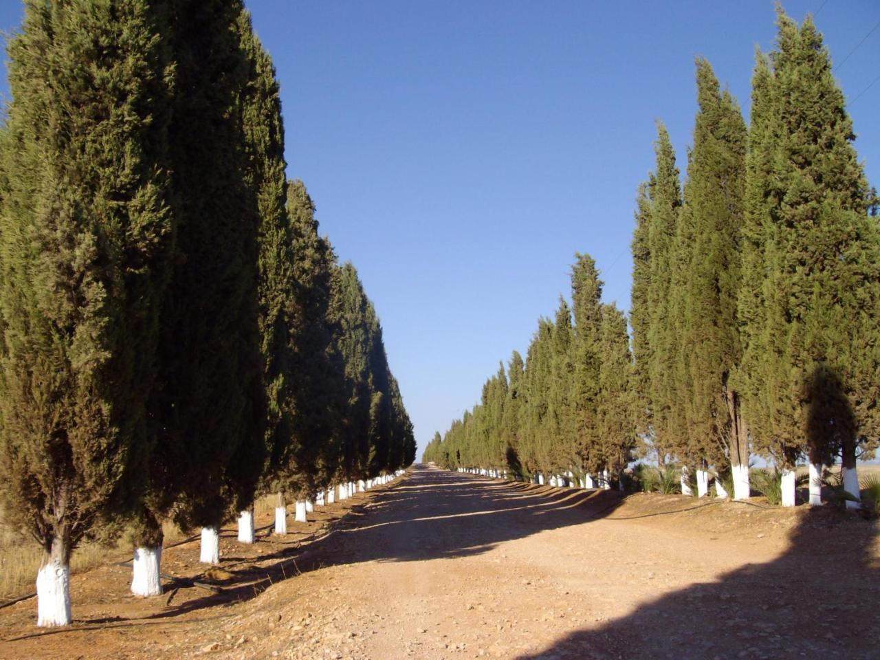 Cortijo Ferradores Humilladero Exterior foto