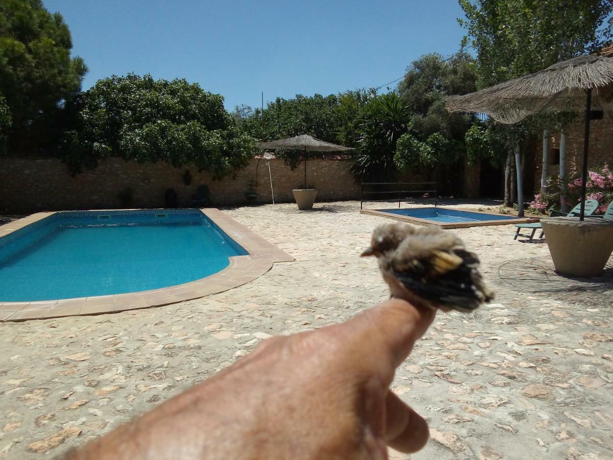 Cortijo Ferradores Humilladero Exterior foto